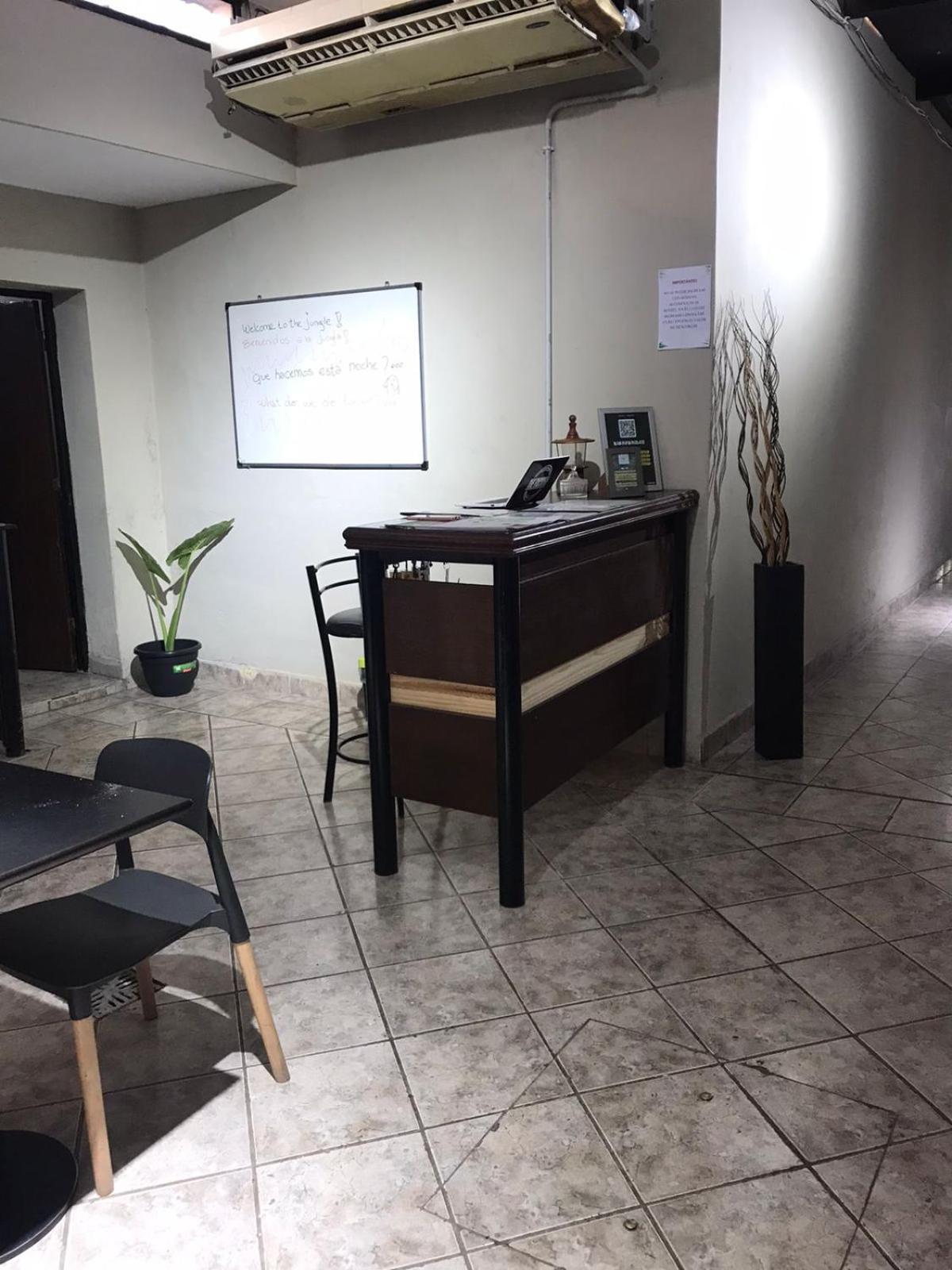 Urban Jungle Hostel San Miguel de Tucumán Εξωτερικό φωτογραφία